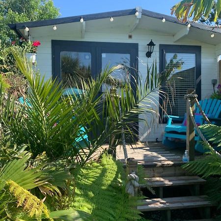 Stargazy Garden Lägenhet Hayle Exteriör bild