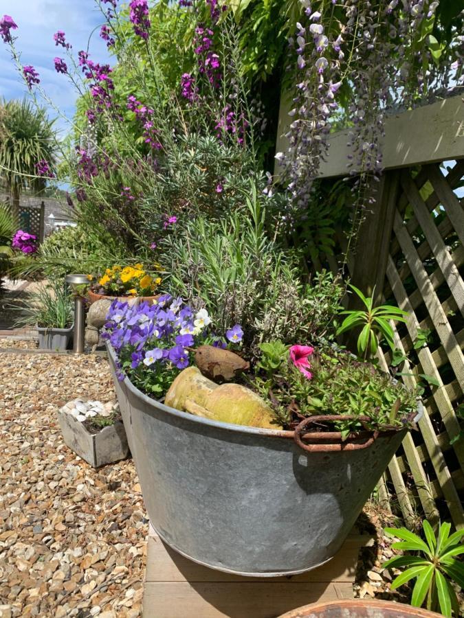 Stargazy Garden Lägenhet Hayle Exteriör bild